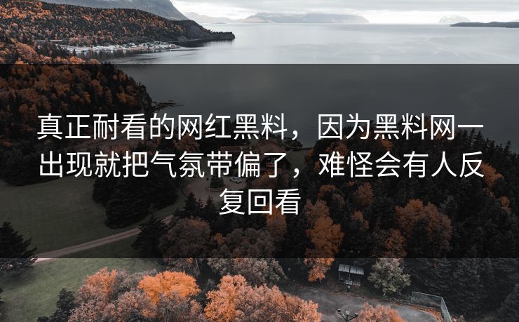 真正耐看的网红黑料，因为黑料网一出现就把气氛带偏了，难怪会有人反复回看